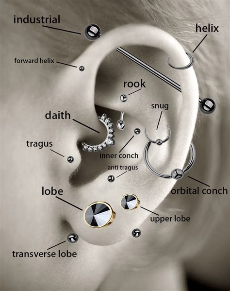 piercing pics|9 Types of Ear Piercings, From Lobes to Cartilage.